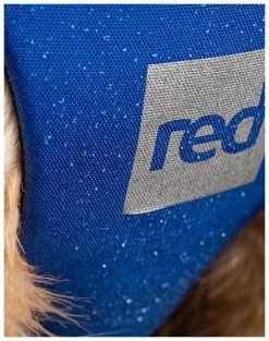 Red Paddle Co. Red Paddle Co Dog Buoyancy Aid -Planche à Pagaie red paddle co dog buoyancy aid blue xs 330 480 mm blue 7