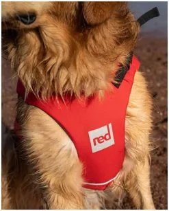 Red Paddle Co. Red Paddle Co Dog Buoyancy Aid -Planche à Pagaie red paddle co dog buoyancy aid red 5 1